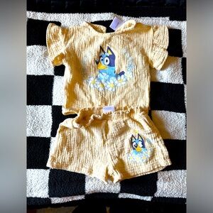 Bluey outfit